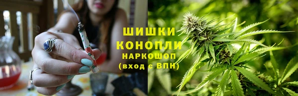спиды Аркадак