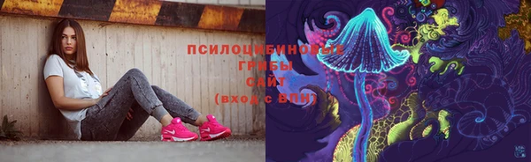 прущая мука Арсеньев