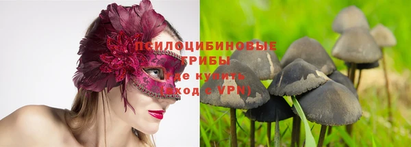 СК Армянск