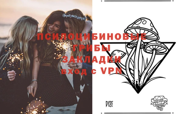 спиды Аркадак
