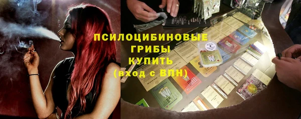 прущая мука Арсеньев